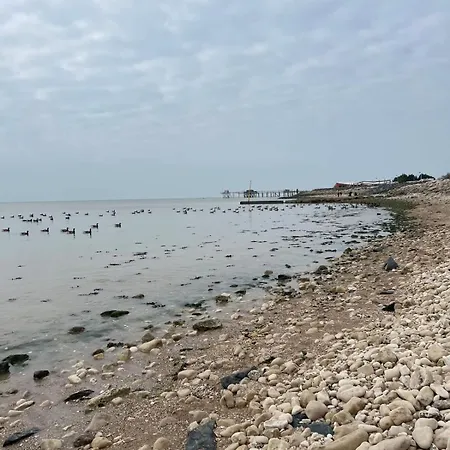 Les Vagues Dorees - Kiwi Lägenhet Aytré